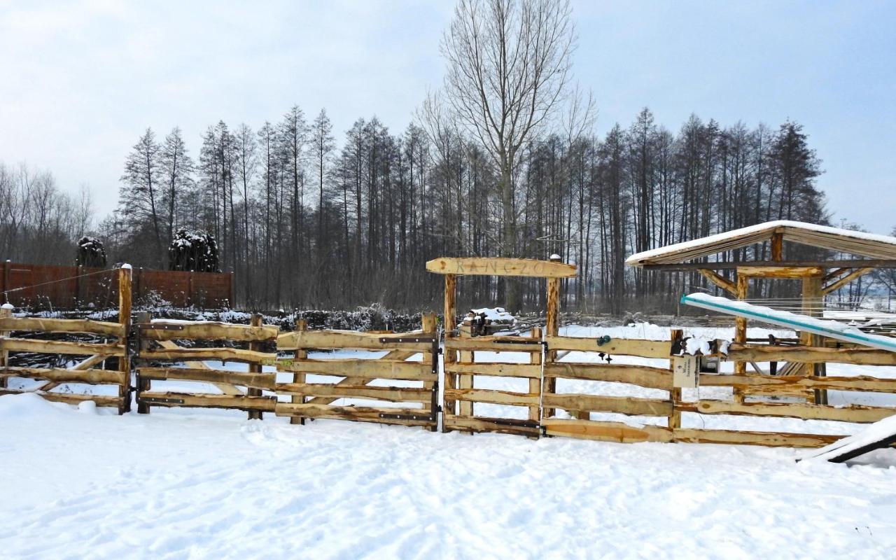 Losinek Dolistowo Stare Bagian luar foto