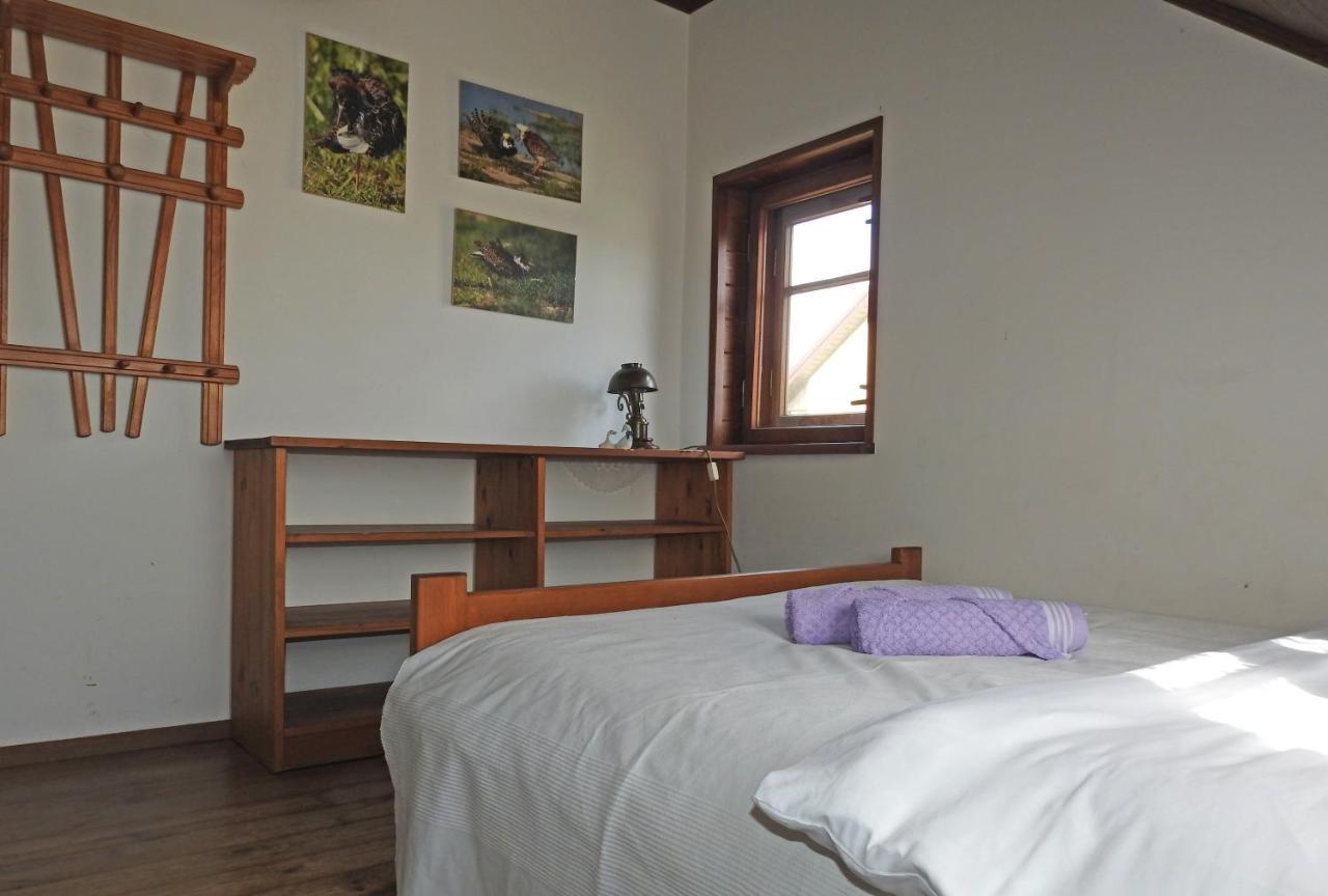 Losinek Dolistowo Stare Bagian luar foto